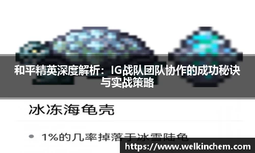 和平精英深度解析：IG战队团队协作的成功秘诀与实战策略