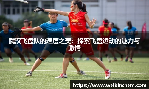 武汉飞盘队的速度之美：探索飞盘运动的魅力与激情